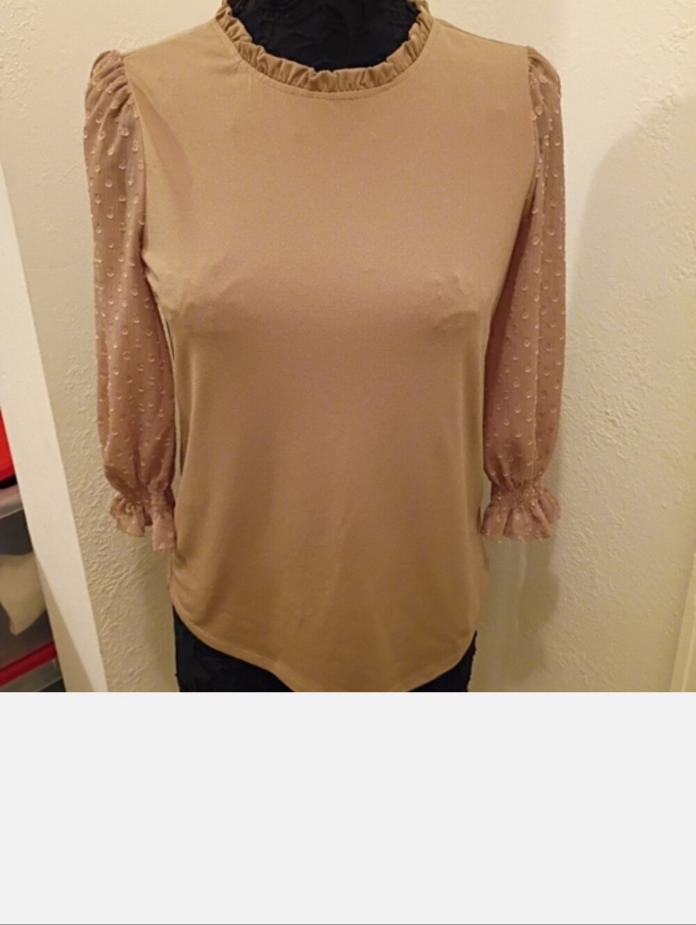 Adrianna Papell Tan Blouse with Sheer Sleeves